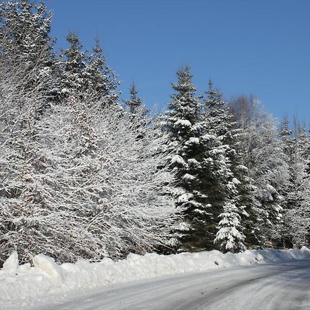 B&B Au Coq En Pate Жале Экстерьер фото